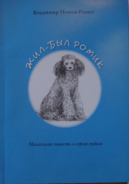 Обложка книги «Жил-был Ромик»