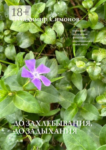 Обложка книги  «До захлебывания, до задыхания. Серия книг поэтической философии миропонимания новой эпохи»