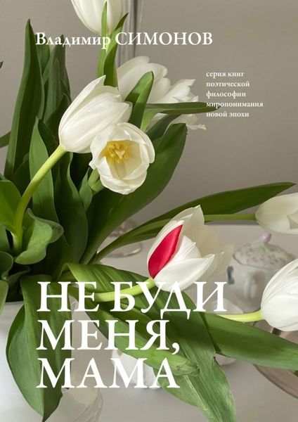 Обложка книги  «Не буди меня, мама. Серия книг поэтической философии миропонимания новой эпохи»