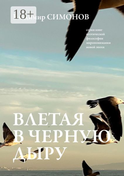 Обложка книги  «Влетая в Черную дыру. Серия книг поэтической философии миропонимания новой эпохи»