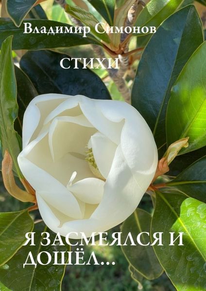 Обложка книги  «Я засмеялся и дошёл… Стихи»