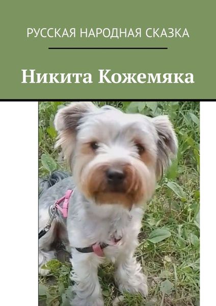 Обложка книги «Никита Кожемяка»