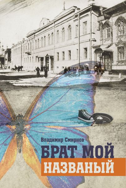 Обложка книги  «Брат мой названый»