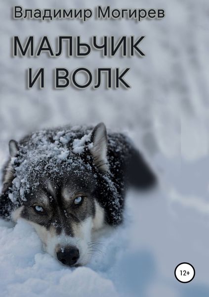 Обложка книги «Мальчик и Волк»
