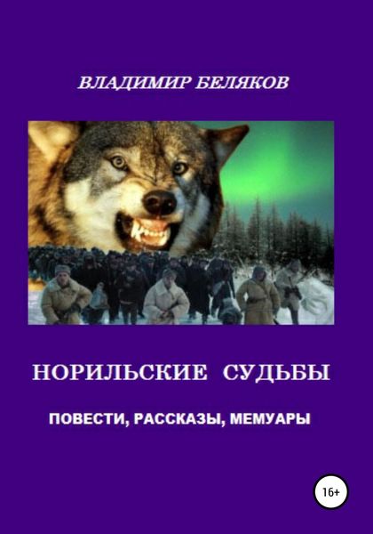 Обложка книги «Норильские судьбы»