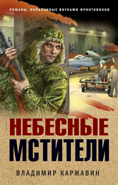 Обложка книги  «Небесные мстители»