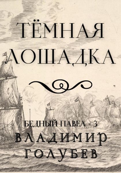 Обложка книги  «Темная лошадка»
