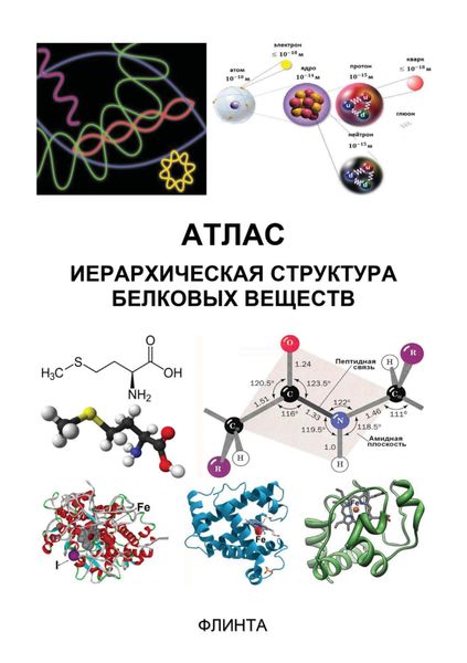 Обложка книги «Атлас: иерархическая структура белковых веществ»