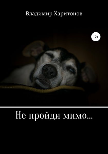 Обложка книги  «Не пройди мимо…»