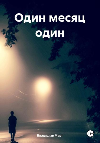 Обложка книги  «Один месяц один»