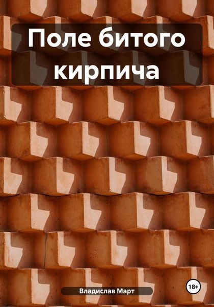 Обложка книги  «Поле битого кирпича»