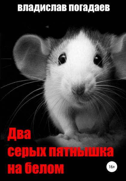 Обложка книги  «Два серых пятнышка на белом»