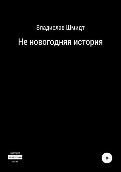 Обложка книги «Не новогодняя история»