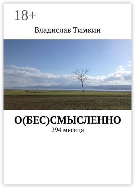 Обложка книги «О(бес)смысленно. 294 месяца»