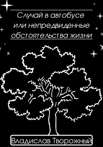 Обложка книги  «Случай в автобусе, или Непредвиденные обстоятельства жизни»