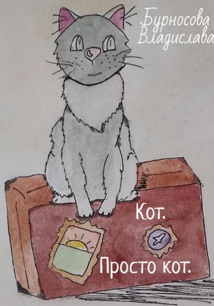 Обложка книги «Кот. Просто кот»