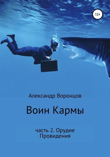 Обложка книги  «Воин Кармы. Часть 2. Орудие Провидения»