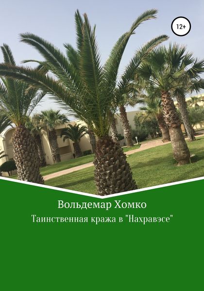 Обложка книги «Таинственная кража в Нахравэсе»