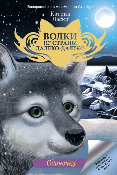 Обложка книги  «Одиночка»