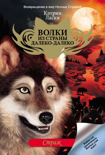 Обложка книги  «Страж»
