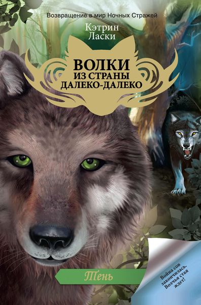 Обложка книги  «Тень»
