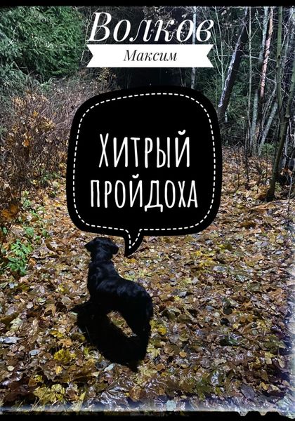 Обложка книги  «Хитрый пройдоха»