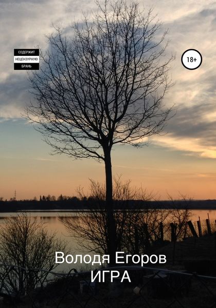 Обложка книги «Игра»
