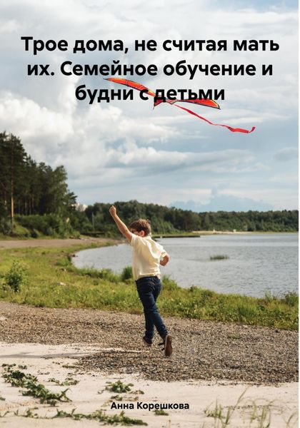 Обложка книги  «Трое дома, не считая мать их. Семейное обучение и будни с детьми»