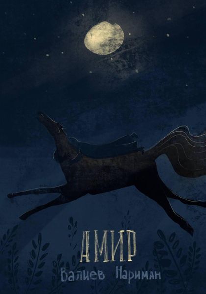 Обложка книги  «Амир»