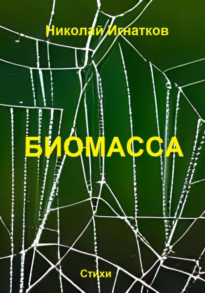 Обложка книги  «Биомасса»