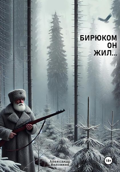 Обложка книги  «Бирюком он жил»