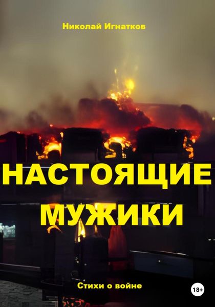 Обложка книги  «Настоящие мужики»
