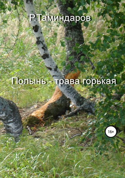 Обложка книги  «Полынь – трава горькая»