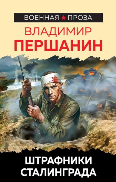 Обложка книги  «Штрафники Сталинграда»
