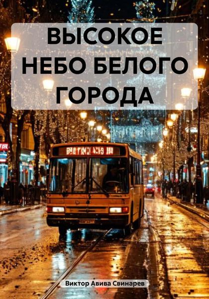 Обложка книги  «ВЫСОКОЕ НЕБО БЕЛОГО ГОРОДА»