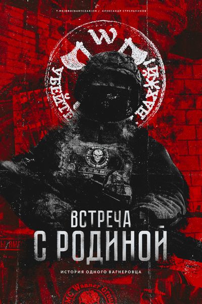 Обложка книги  «Встреча с родиной»