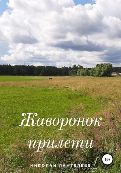 Обложка книги  «Жаворонок прилети»