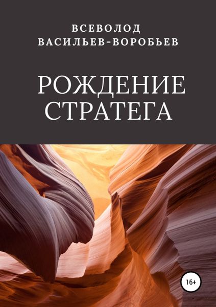 Обложка книги  «Рождение стратега»