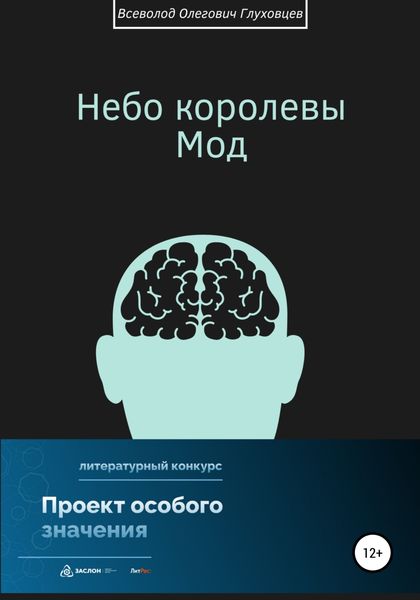 Обложка книги  «Небо королевы Мод»