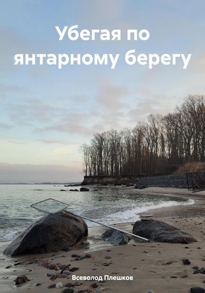 Обложка книги «Убегая по янтарному берегу»