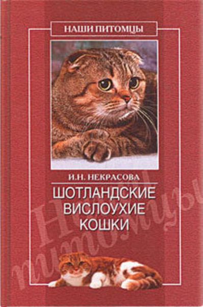 Обложка книги  «Шотландские вислоухие кошки»