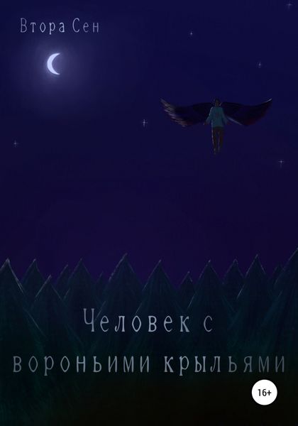 Обложка книги  «Человек с вороньими крыльями»