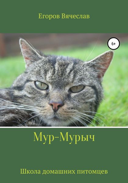 Обложка книги  «Мур-Мурыч. Школа домашних питомцев»