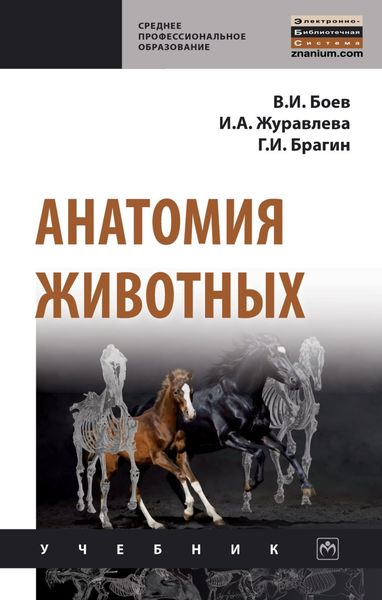 Обложка книги «Анатомия животных»