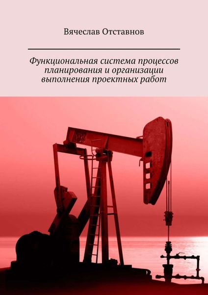 Обложка книги «Функциональная система процессов планирования и организации выполнения проектных работ»