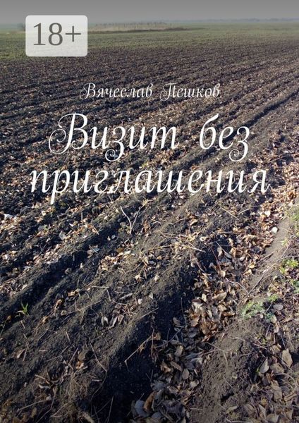 Обложка книги  «Визит без приглашения»