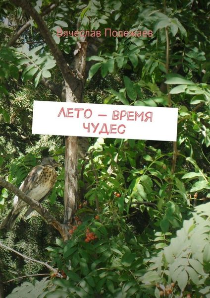 Обложка книги  «Лето – время чудес»