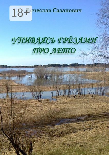Обложка книги  «Упиваясь грёзами про лето»
