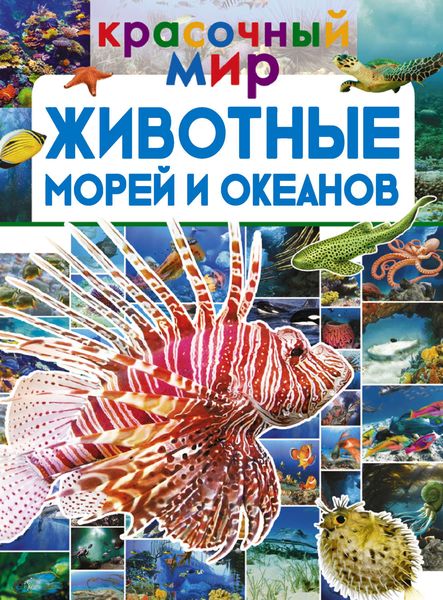 Обложка книги «Животные морей и океанов»
