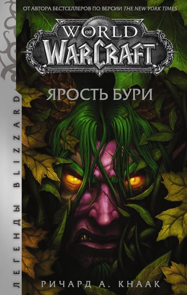 Обложка книги «World of Warcraft. Ярость Бури»